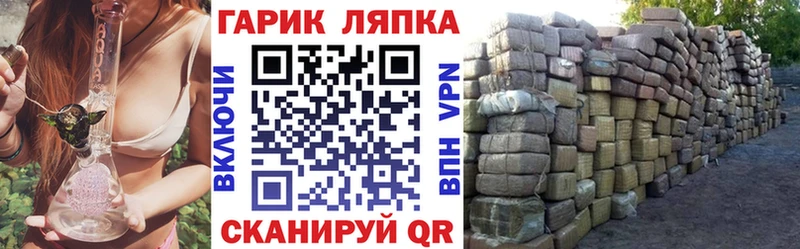 где найти наркотики  Раменское  ГАШИШ индика сатива 