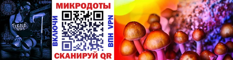 Псилоцибиновые грибы мицелий  Раменское 